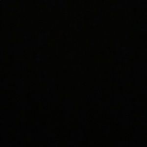 Meet your Posher, Finn